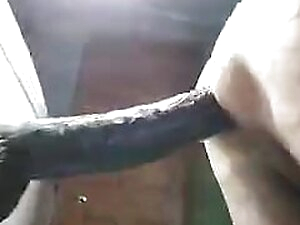 14 inch KingCock